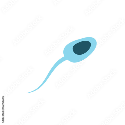 Illustration of Sperm Cells