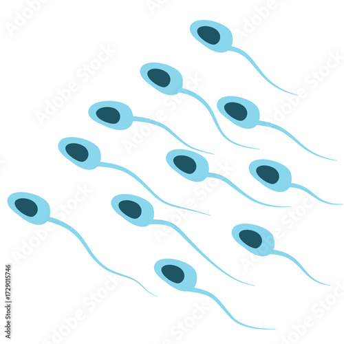 Illustration of Sperm Cells