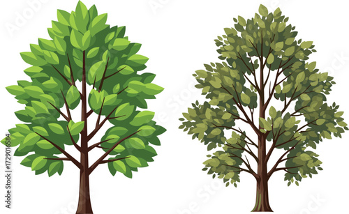 Two illustrated trees with dense and sparse green foliage, botanical vector for nature, seasonal contrast, plant comparison, and design themes