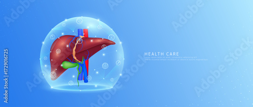 Medical health care. Liver organ human model in dome transparent shield protection with medical network icons. Technology innovation digital for health. Banner vector.