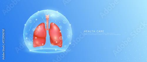 Medical health care. Lung organ human model in dome transparent shield protection with medical network icons. Technology innovation digital for health. Banner vector.