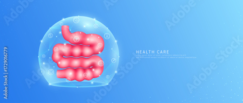 Medical health care. Small intestine organ human model in dome transparent shield protection with medical network icons. Technology innovation digital for health. Banner vector.