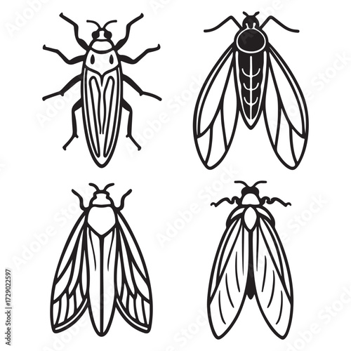 A Small Jumping Leafhopper Insect, a Wedge Shaped Cicadellidae Plant Pest with a Powerful Vector Ability to Damage Crops as a Sap Feeder