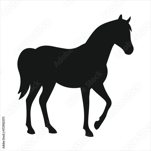 Majestic silhouette of a horse in profile striding forward gracefully
