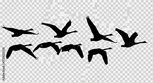 Silhouette illustration of a flock of geese flying in formation against a transparent background