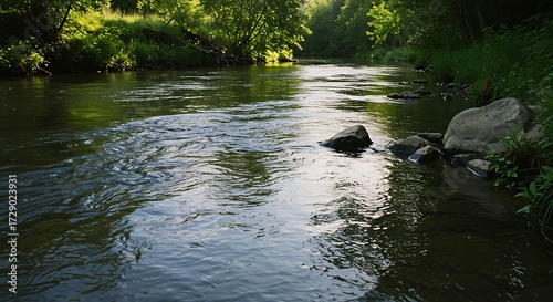 Peaceful river landscape with sunlit water and green trees.