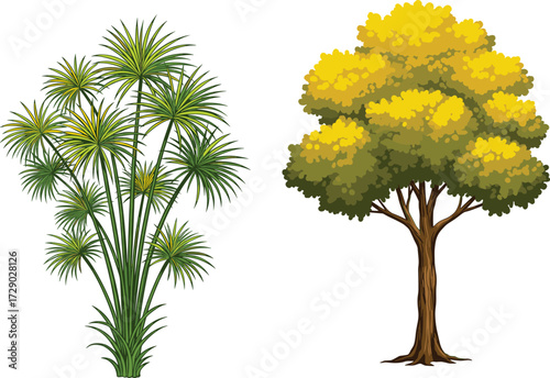 Vector Illustration of Green Papyrus Plant and Yellow Foliage Tree Isolated on White Background for Botanical, Garden, and Nature Design