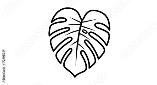 Outline drawing of a monstera leaf with distinct fenestrations and a heart shaped overall form design