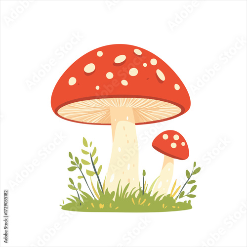 Two vibrant red mushrooms with white spots, standing in grass