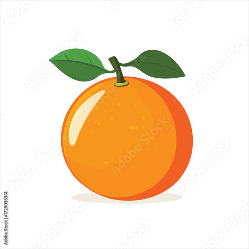 Fresh, vibrant orange fruit illustration