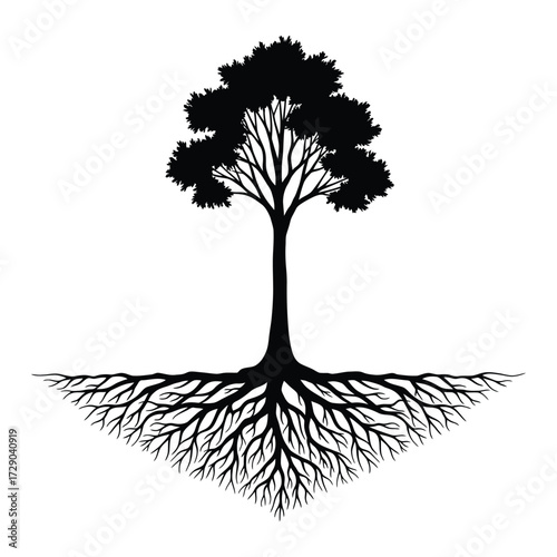 Black silhouette tree with roots on a white background illustrating the concept of interconnectedness representing growth strength 