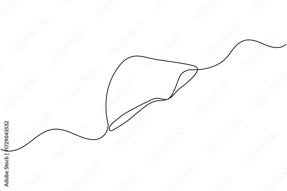 Obraz premium Liver anatomy continuous single line drawing. human organ concept isolate outline vector illustration