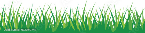 Vibrant green grass blades sway gently in a fresh, natural scene