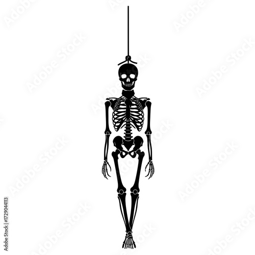 Black silhouette of a human skeleton hanging from a rope isolated on white background