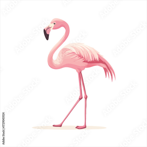 vector Pink flamingo, side view, elegant, graceful, detailed illustration