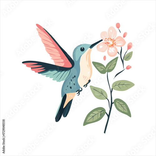 Hummingbird sips nectar from flower