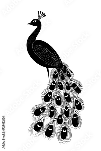 A black and white illustration of a peacock, displaying its plumage