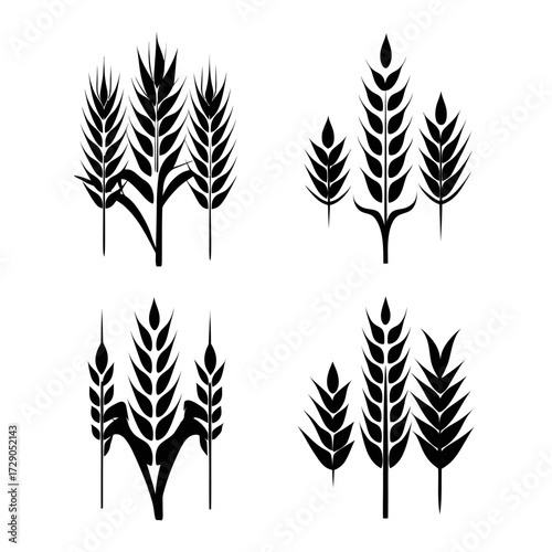 Four sets of stylized cereal plant illustrations in black, each showcasing three stalks and leaves on white background