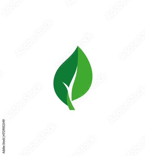 A simple illustration of a stylized leaf with two shades of green against a blank, white background