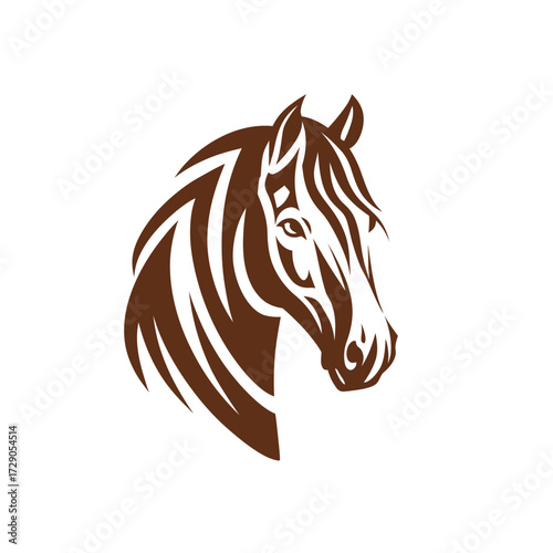 Detailed Brown Head