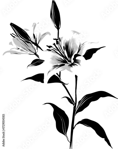 An artistic monochromatic illustration of a stem with large leaves and blossoming, elegant lilies