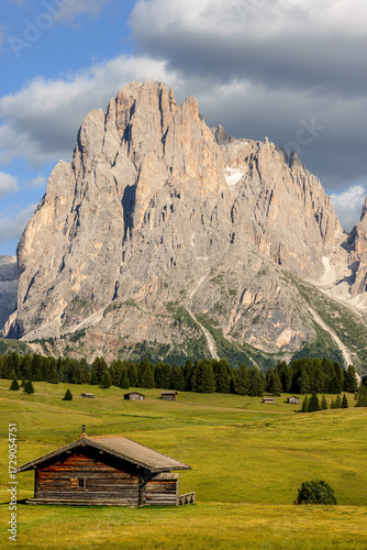 View over the alpine meadows with mountain cabins towards the Langkofel group with the peaks of Langkofel and Plattkofel on the Seiser Alm, Dolomites, South Tyrol, Italy.