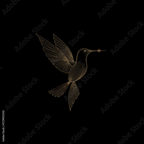 A detailed sketch shows a hummingbird in flight. The creature is drawn in brown against a black background