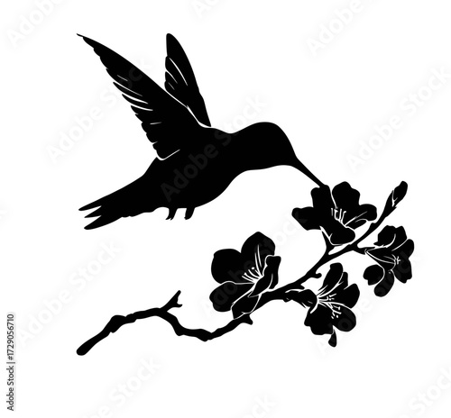 A black and white silhouette depicts a hummingbird reaching towards flowers on a branch