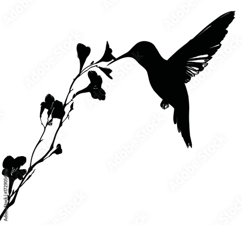 A silhouette of a hummingbird hovering near flowers, reaching its beak towards the blooms