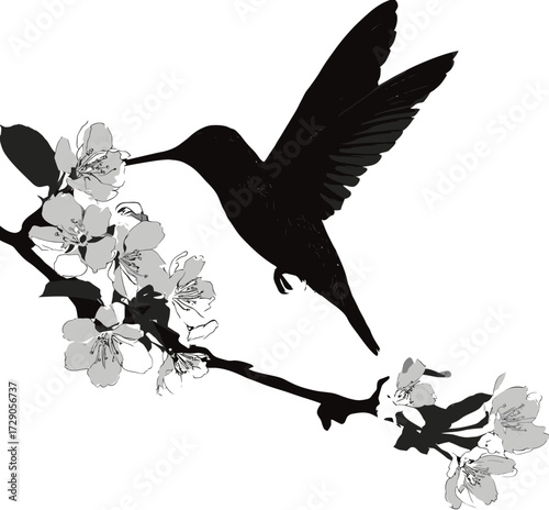 A grayscale depiction of a hummingbird reaching towards blossoms on a flowering branch