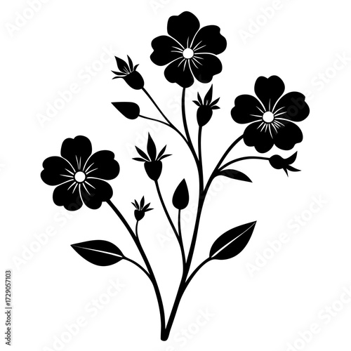 nemophila penny black flower silhouette vector on white 