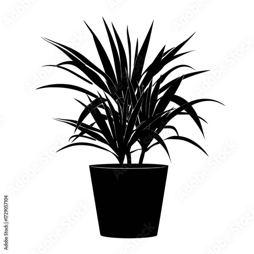 Potted Plant Dark leafy plant in a pot, silhouette against white backdrop