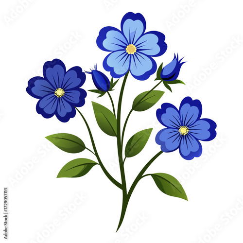 nemophila penny black flower vector on white background