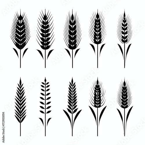 Silhouettes of wheat stalks, showcasing various stylized plant representations on a white background