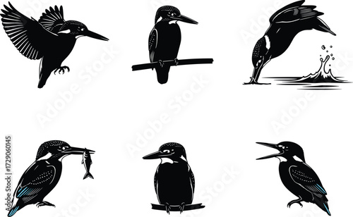 Kingfisher bird silhouette vector illustration set featuring perched, flying, fishing, diving, and hunting poses for wildlife nature design.