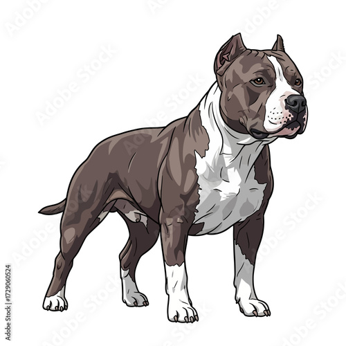 English and French Bulldog Puppies Sitting Together on White Background