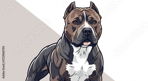 English bulldog sitting in studio portrait with cute purebred features