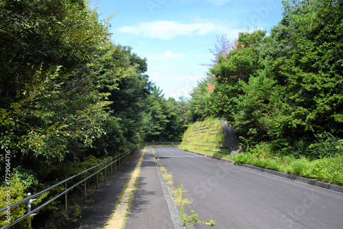 山の道路
