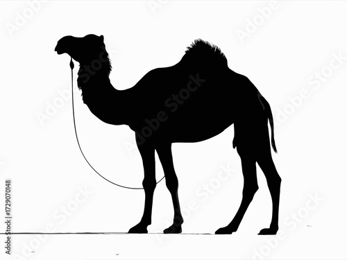 Striking full length side view camel silhouette vector illustration scalable eps icon silhouette white background