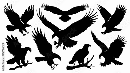 Collection of ten dynamic eagle silhouettes vector graphics scalable illustrations silhouette white background