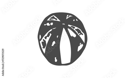 black and white butterfly