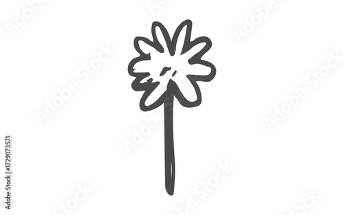 flower on white background