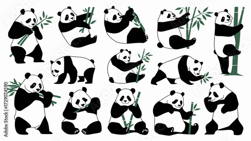 Collection of 15 adorable vector panda illustrations in various playful poses silhouette white background