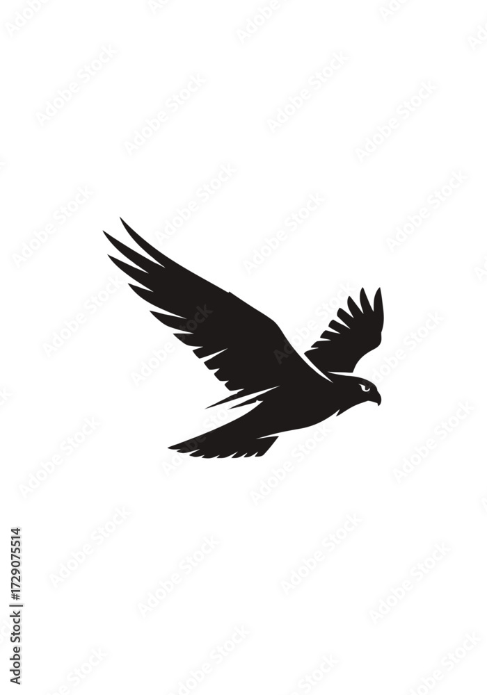 Fototapeta premium A silhouette of a hawk in flight, with its wings spread wide against a white background.