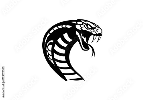 A striking black and white illustration of a cobra's head, depicted with its hood flared and fangs bared.