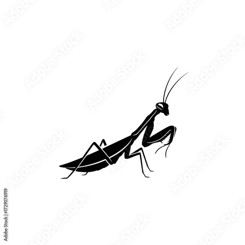 Silhouette of a praying mantis insect, showcasing its slender body and distinctive posture, isolated on white.
