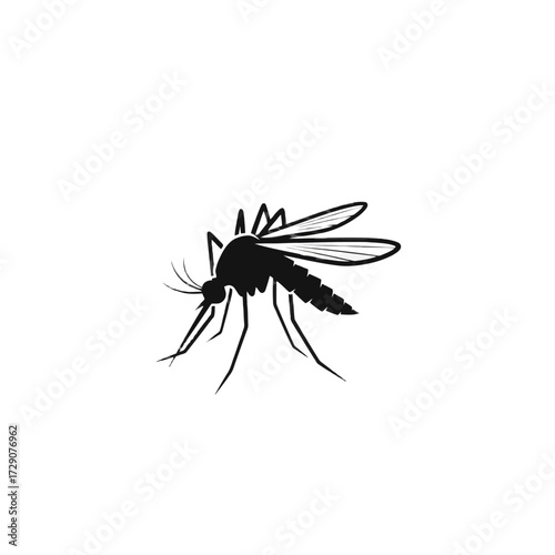 Illustration of a mosquito with long legs and wings.