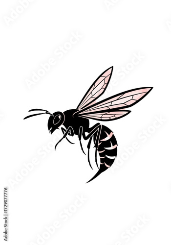 Illustration of a wasp in flight, showcasing its wings, body, and intricate details against a white background.