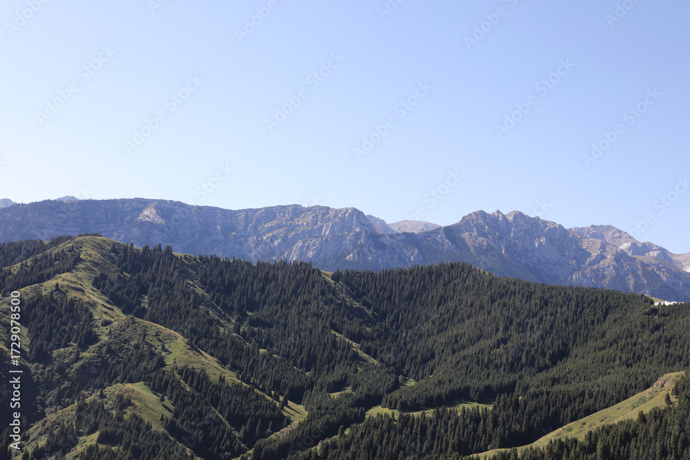 Naklejka premium mountains in the snow