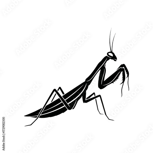 A black silhouette of a praying mantis, depicted in a graphic and stylized manner, isolated on a white background.